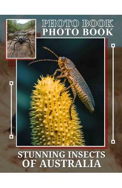 Poza produsului Stunning Insects Of Australia Photo Book: Explore Nature's MarvelsWith 40 Incredible Insect Images From Australia For Enthusiasts - Kacie Wade