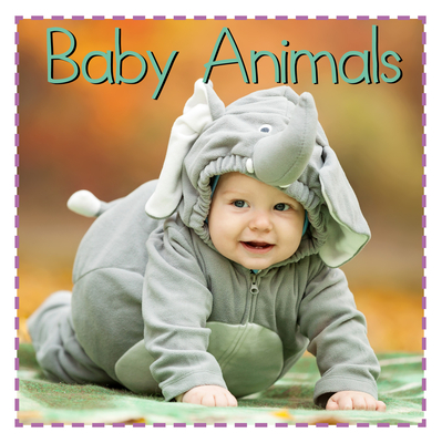 Baby Animals - Addie Vaughters