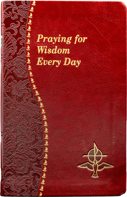 Coperta cărții 'Praying for Widsom Every Day - Jude Winkler'