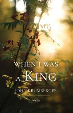Coperta cărții 'When I Was a King - John Krumberger'
