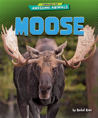 Moose - Rachel Rose