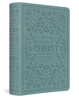 ESV Illuminated(tm) Bible, Art Journaling Edition (Trutone, Paris Sky, Colossians 3:16 Design) - Dana Tanamachi