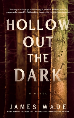 Hollow Out the Dark - James Wade