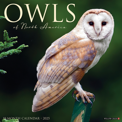 Owls 2026 12 X 12 Wall Calendar -
