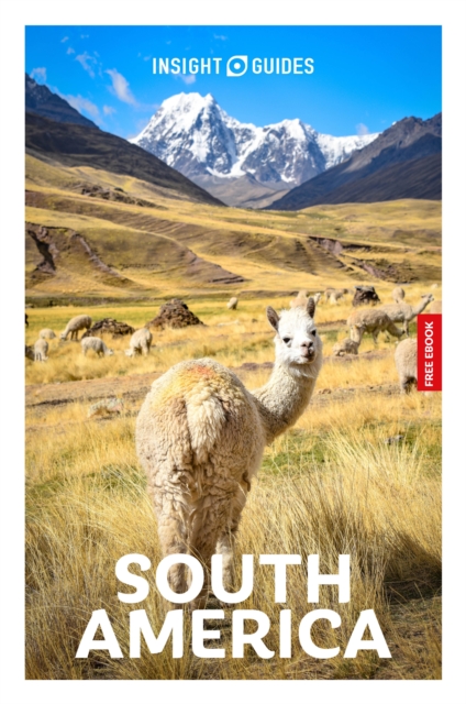 Insight Guides South America: Travel Guide with eBook - 