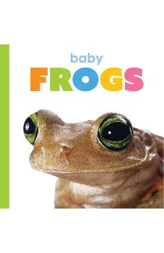 Coperta cărții 'Baby Frogs - Kim Thompson'