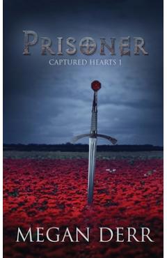 Coperta cărții 'Prisoner - Megan Derr'