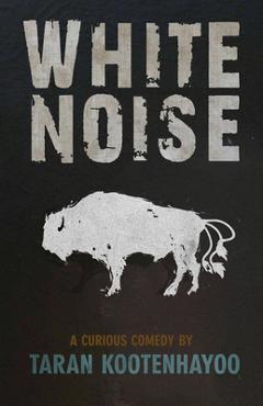 Coperta cărții 'White Noise -'