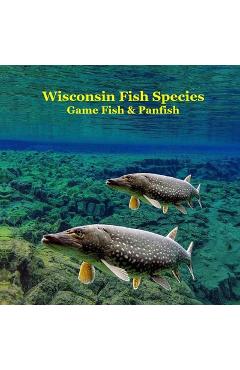 Coperta cărții 'Wisconsin Game Fish and Panfish Species Kids Book: Great Book About the Different Types of Fish in Wisconsin - Kinsey'