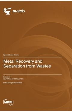 Metal Recovery and Separation from Wastes