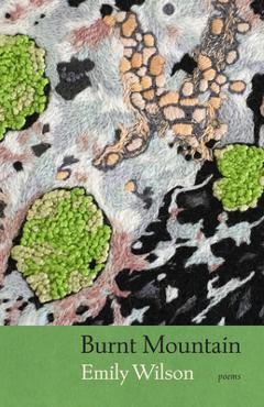 Poza produsului Burnt Mountain - Emily Wilson