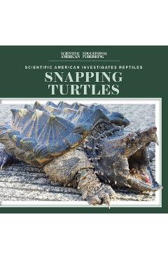 Coperta cărții 'Snapping Turtles - Jagger Youssef'