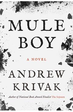 Mule Boy - Andrew Krivak