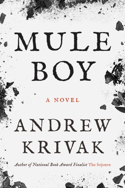 Mule Boy - Andrew Krivak