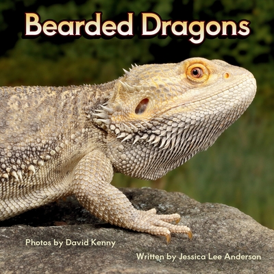 Bearded Dragons - Jessica Lee Anderson