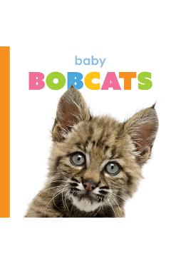 Coperta cărții 'Baby Bobcats - Kim Thompson'