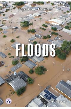 Floods - Trudy Becker