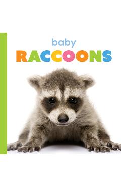 Coperta cărții 'Baby Raccoons - Kim Thompson'