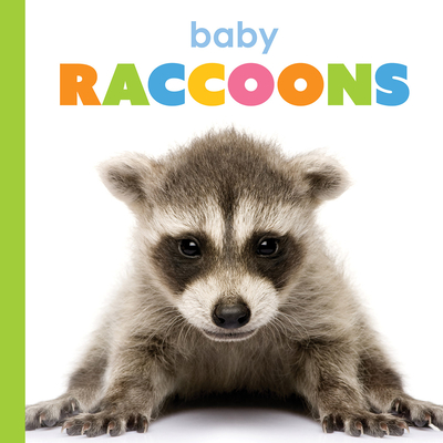 Baby Raccoons - Kim Thompson