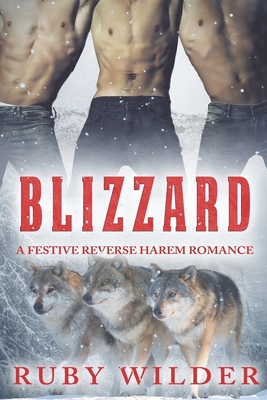 Blizzard: A Festive Reverse Harem Romance - Ruby Wilder