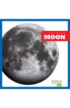 Coperta cărții 'Moon - Vanessa Black'