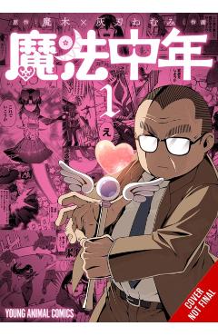 Magical Midlifer, Vol. 1: Volume 1 -
