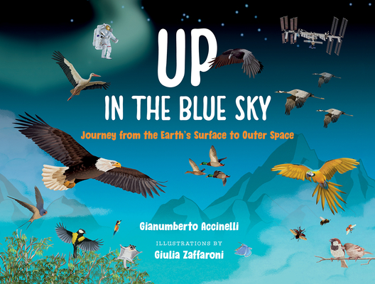 Up in the Blue Sky: Journey from the Earth's Surface to Outer Space - Gianumberto Accinelli
