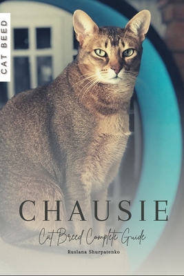 Chausie: Cat Breed Complete Guide - Ruslana Shurpatenko