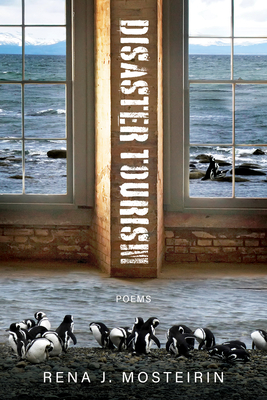 Disaster Tourism - Rena J. Mosteirin