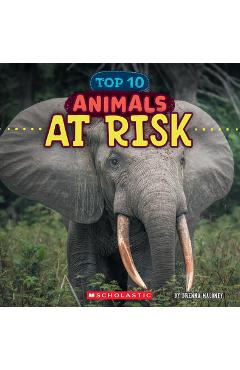 Coperta cărții 'Animals at Risk (Wild World: Top 10) - Brenna Maloney'