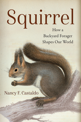 Squirrel: How a Backyard Forager Shapes Our World - Nancy Castaldo