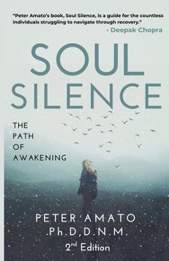 Poza produsului Soul Silence: The Path of Awakening - Peter Amato Dnm