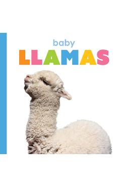 Poza produsului Baby Llamas - Kim Thompson