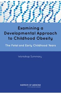 Examining a Developmental Approach to Childhood Obesity -