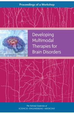 Developing Multimodal Therapies for Brain Disorders - Engineering National Academies Of Sciences
