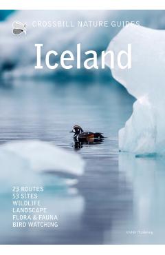 Iceland - Dirk Hilbers