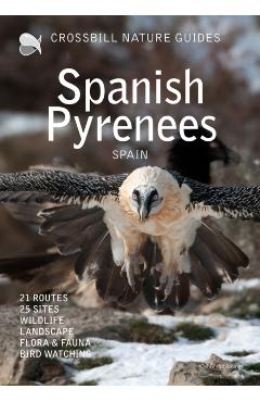 Crossbill Nature Guide Spanish Pyrenees - Dirk Hilbers