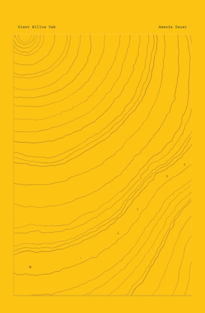 Giant Willow Oak - Amanda Sauer