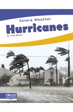 Poza produsului Hurricanes - Trudy Becker