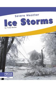 Poza produsului Ice Storms - Trudy Becker