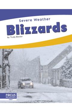 Poza produsului Blizzards - Trudy Becker