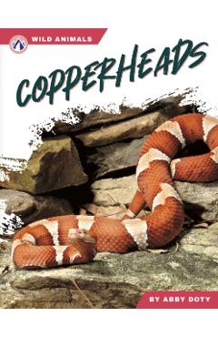 Poza produsului Copperheads - Abby Doty