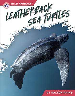 Leatherback Sea Turtles - Abby Doty