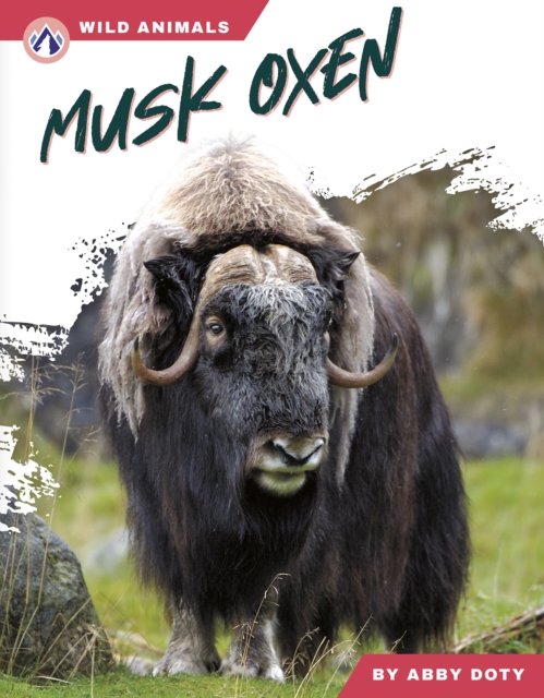 Musk Oxen - Abby Doty