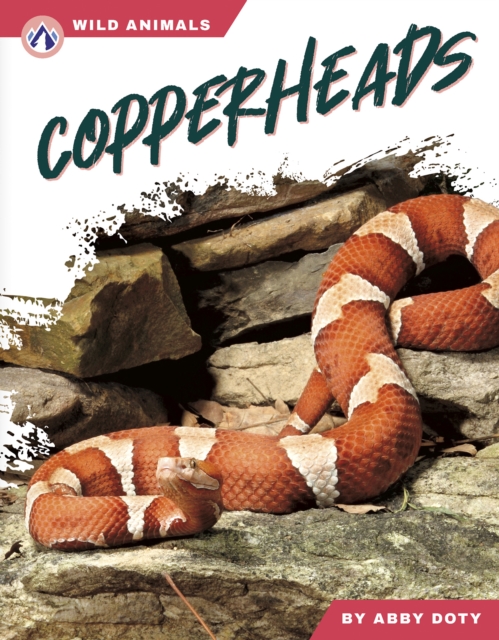 Copperheads - Abby Doty