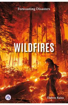 Coperta cărții 'Wildfires - Dalton Rains'