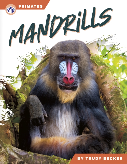 Mandrills - Trudy Becker