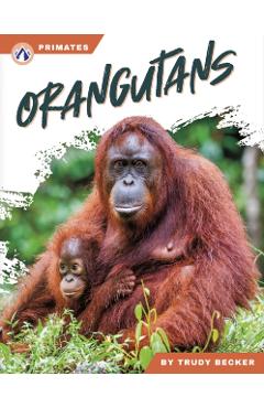 Poza produsului Orangutans - Trudy Becker