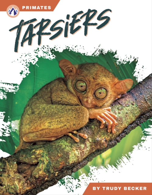 Tarsiers - Trudy Becker