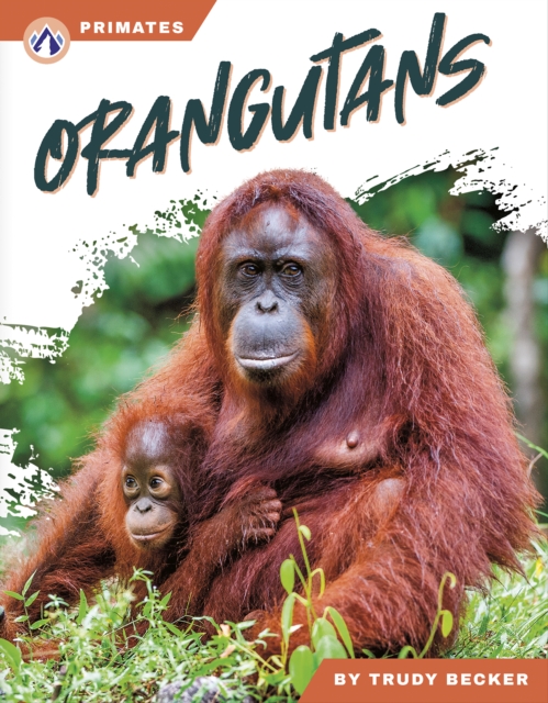 Orangutans - Trudy Becker